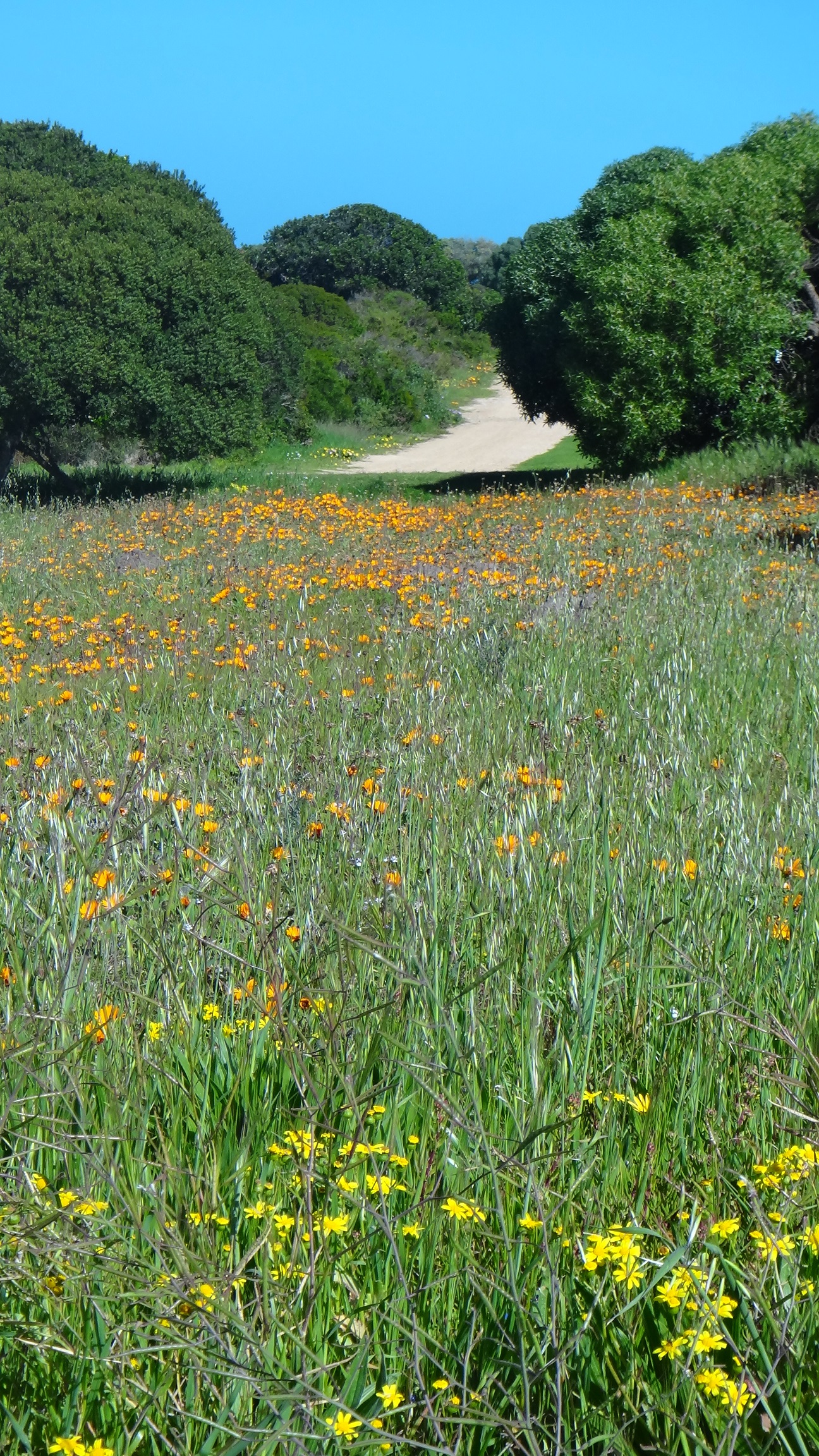 infrastructure upgrades to roads in Gansbaai