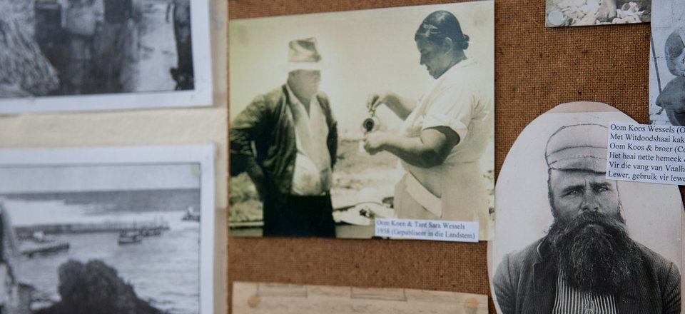 A Coastline of Shipwrecks and Fishing Tales