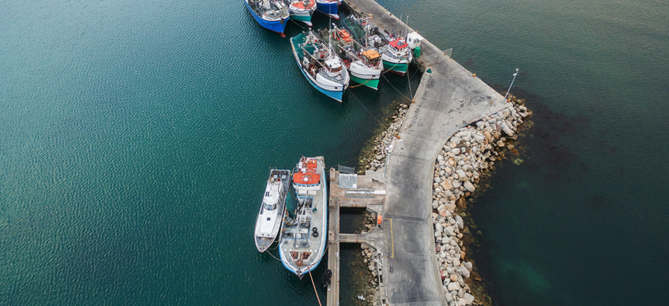 A Small Fishing Town with a Great White Heart