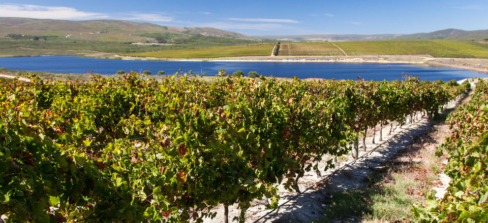 With Hidden Treats and Treasures down every Road