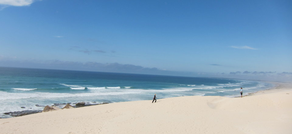 Explore the De Hoop Nature and Marine Reserve
