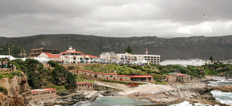 Hermanus is the Ultimate Holiday Destination For Everyone