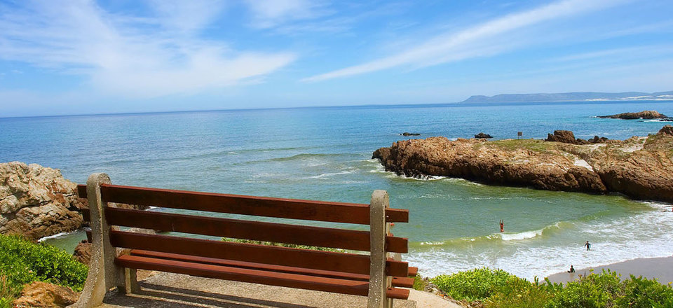 Visit the Whale Watching Mecca of South Africa