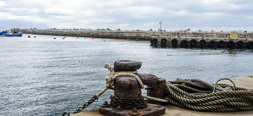 Meet the Town Established by Farmers and Fishermen