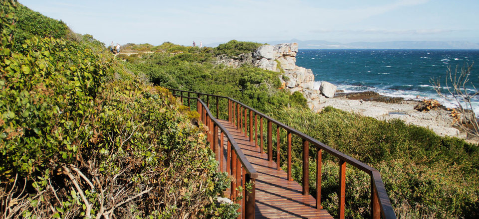 and Delve into the Splendour of Nature's Bounty