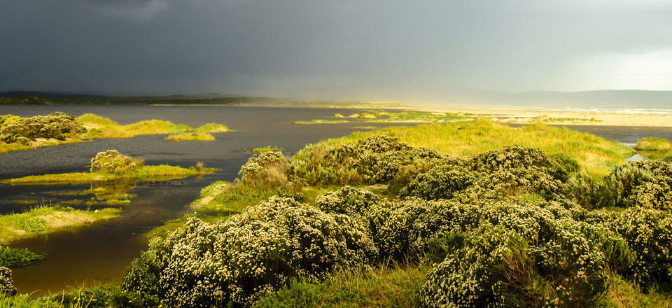 View the Diversity of Nature's Artwork