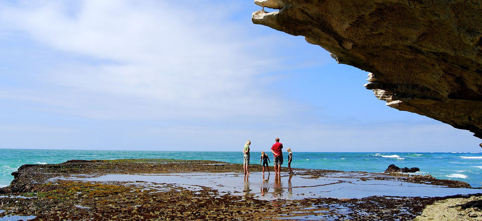 Find Your Way Back to Adventure