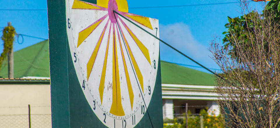 A Treasure Trove of Discoveries for the Curious Mind