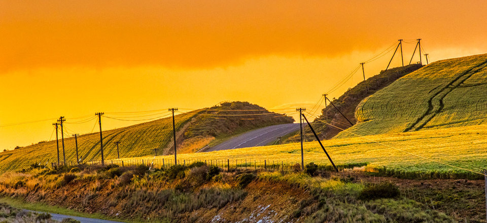 Get your Local Produce at the Weekly Farmer Markets