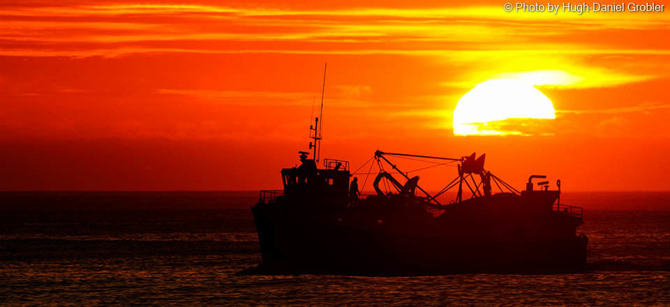 Fish is the Call of the Day... Seafood Caught by the Locals