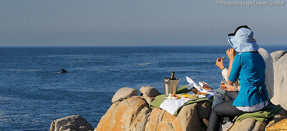 Enjoy the Beauty of Nature's Bounty