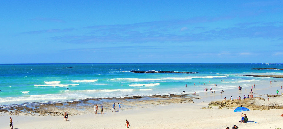 or Savour the Taste of Luxury While Enjoying Ocean Views