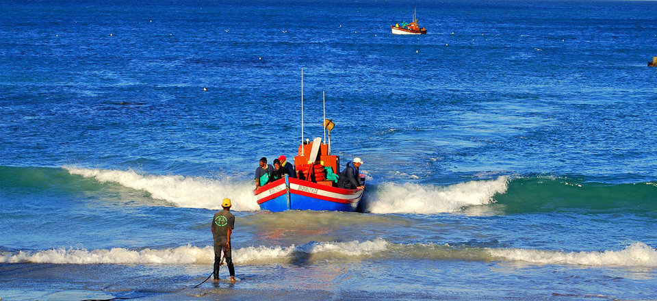 Sit down to the Catch of the Day