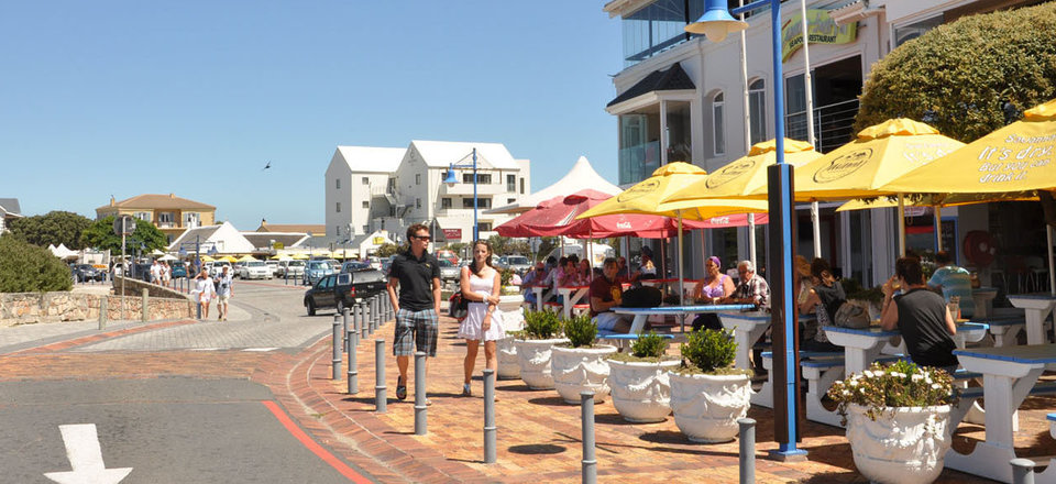 In the Home of the Southern Right Whale