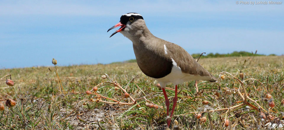 Situated in the Heart of Adventure