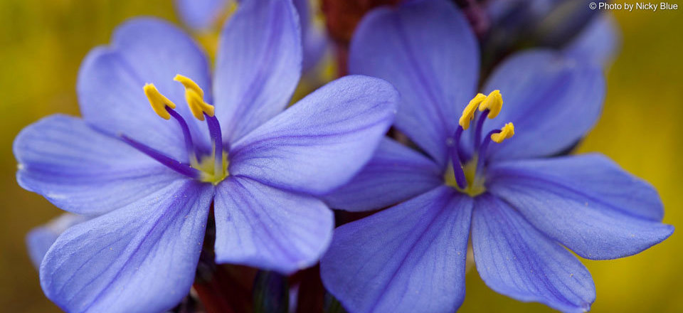 or Visit Your Favourite Cafe