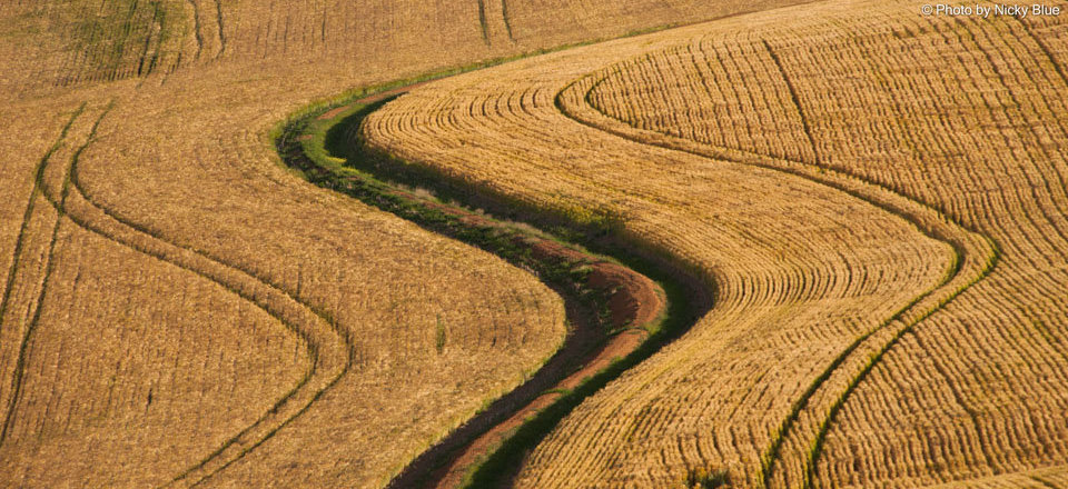 In the Midst of Rolling Farmlands, Lies a Bustling Town