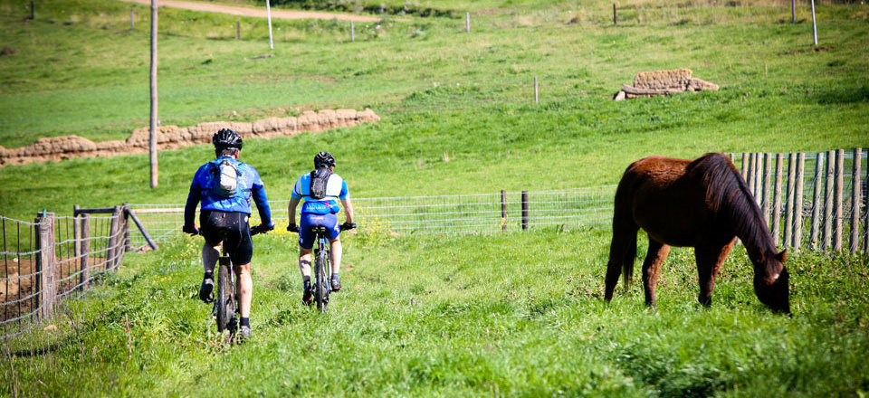 and Embark on an Adventure through the Countryside