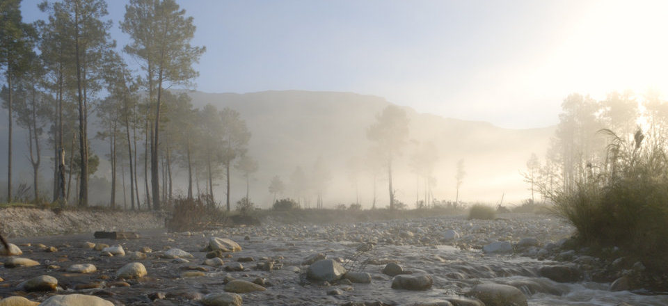 A Time to Reawaken your Senses