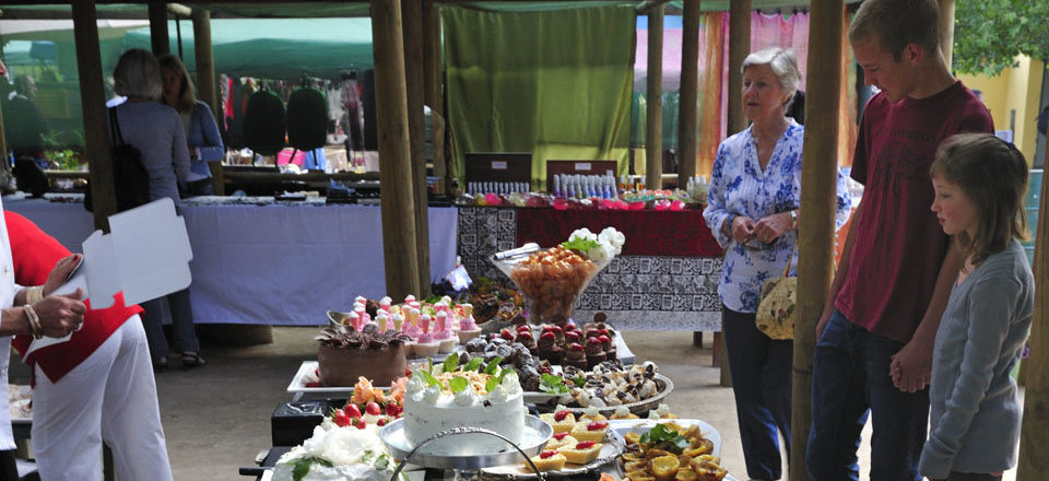 An Outing the Whole Family can Enjoy Together