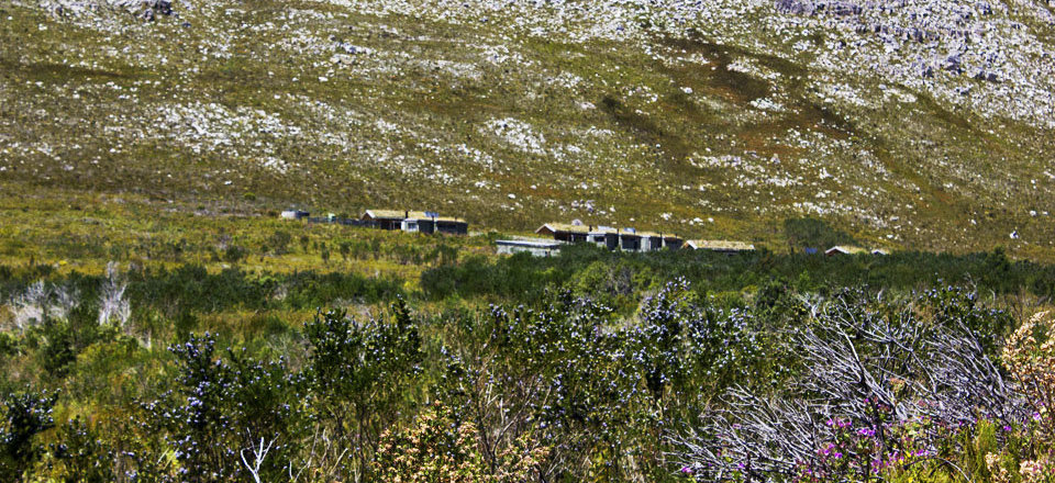 Be Treated Like a King or Queen by Hospitable Hosts