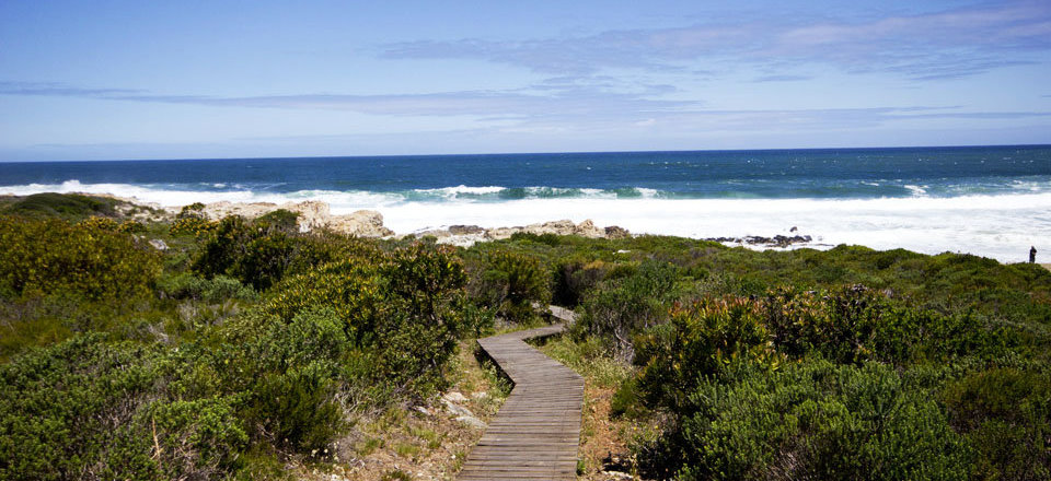 Go Rustic with a Five Star View