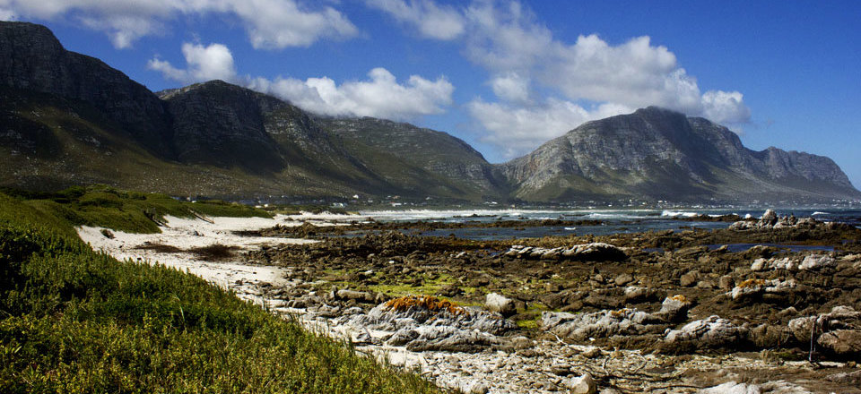 Welcome to Betty's Bay 