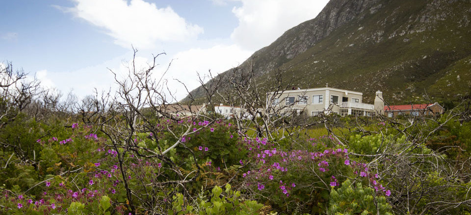 Enjoy a Carefree Holiday with all the Time to Explore