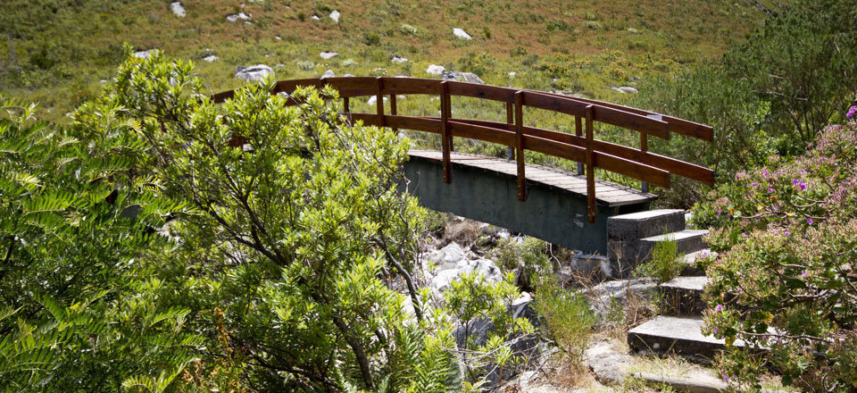 and Pristine Indigenous Gardens