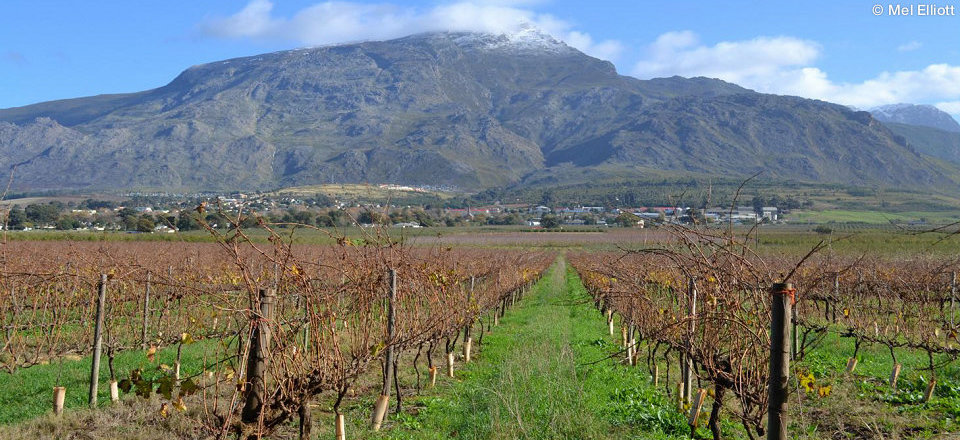 Enjoy Old Fashioned Hospitality and Gorgeous Mountain Views