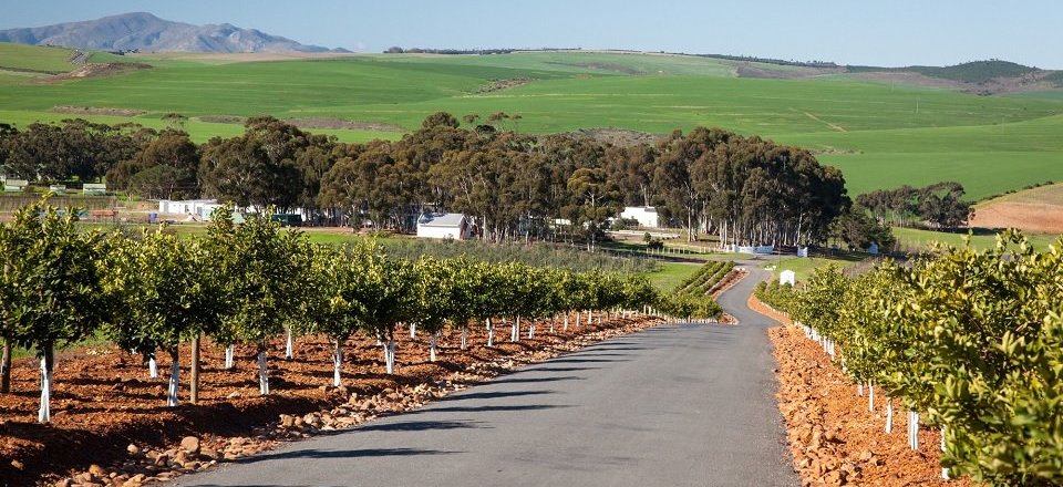 That Holds a Truly Unique Wine Route