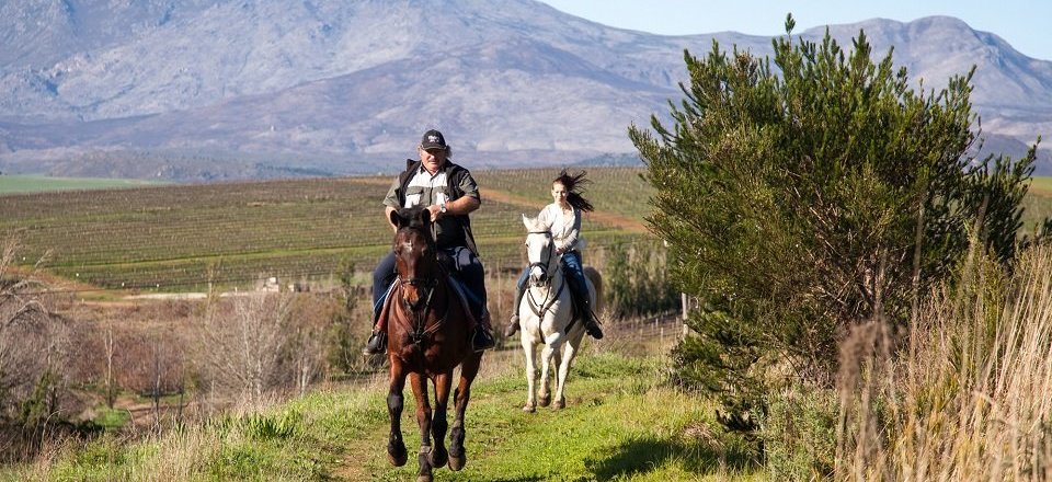 And an Endless List of Exciting Activities