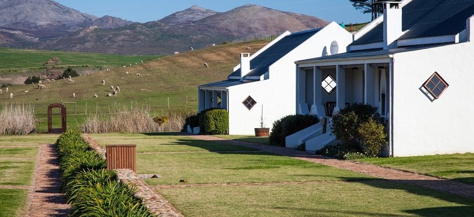 Find Your Home Away from Home