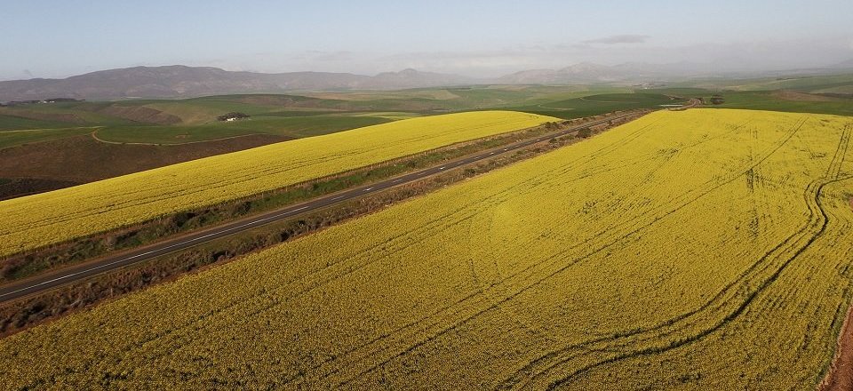 Welcome to Riviersonderend