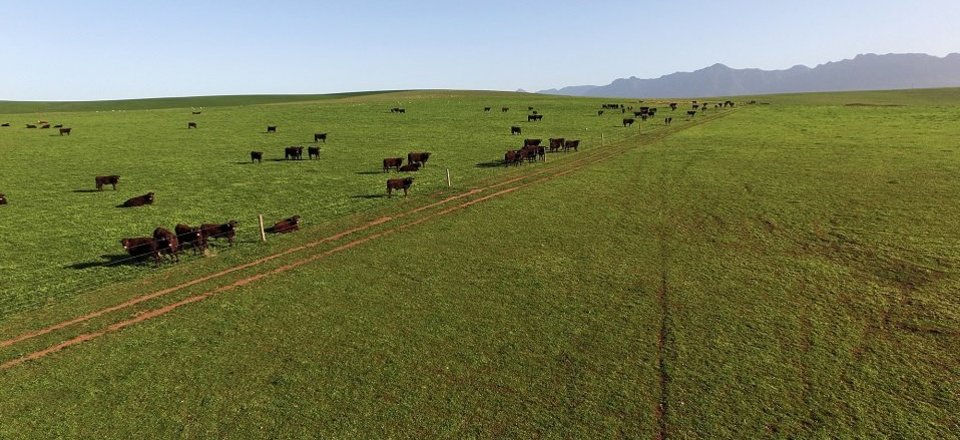 Experience Luxury in a Tranquil Countryside Setting