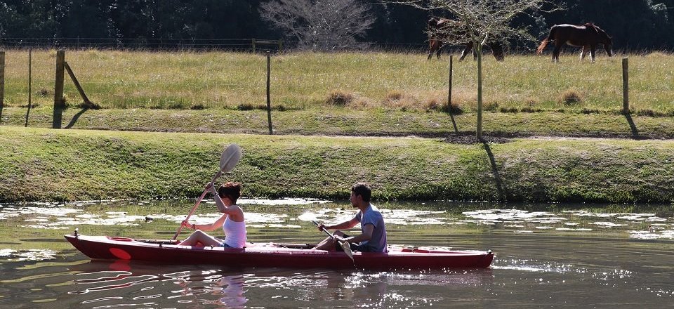 Explore Swellendam’s Outdoor Adventures