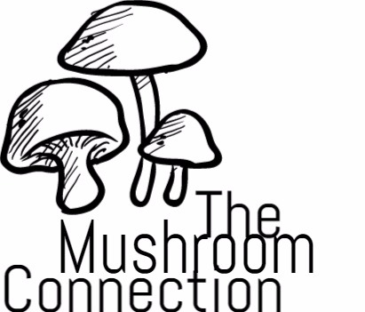 The Mushroom Connection 