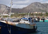 Gansbaai