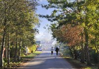 Greyton