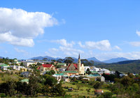 Napier