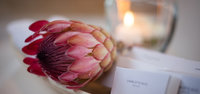 Accommodation Specials