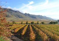 Villiersdorp