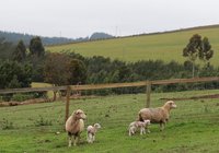 Swellendam-Nearby