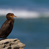  A Moment of Contemplation