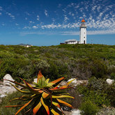  Danger Point and Lighthouse