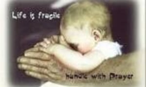 Die eer van die Here