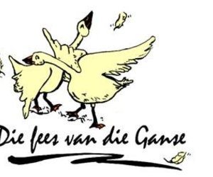 Fees Fees en nogmaals FEES