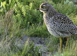 5. Heuningberg Nature Reserve