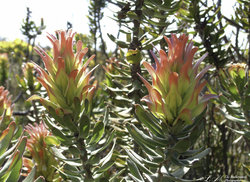 7. Quaint Accommodation