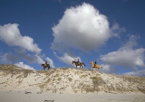 5 Ways to Explore Gansbaai